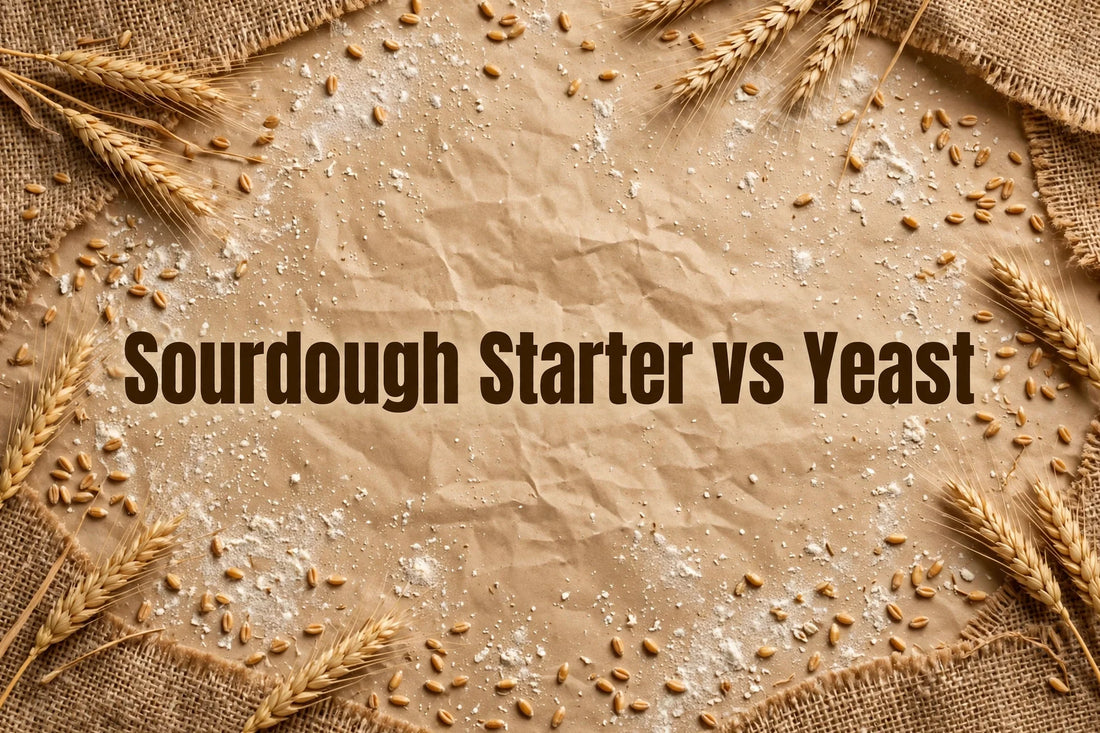 Sourdough Starter vs Yeast: What Beginners Get Wrong
