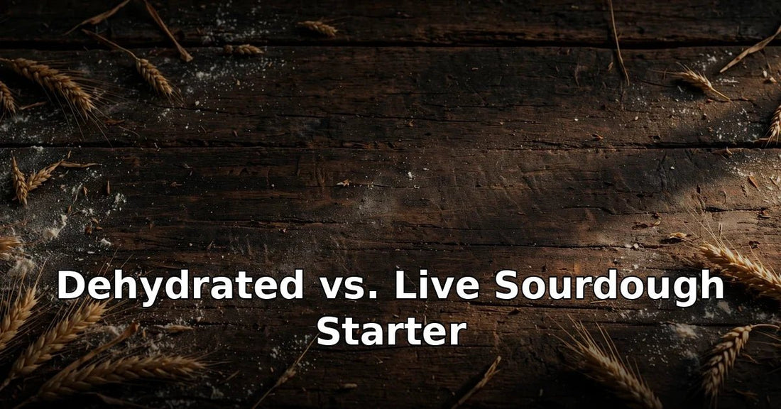 Dehydrated vs. Live Sourdough Starter: Which Should You Buy? - Squirrelly Girl Starter