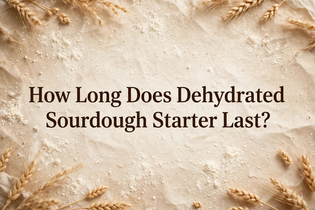 How Long Does Dehydrated Sourdough Starter Last? (The Real Shelf Life) - Squirrelly Girl Starter