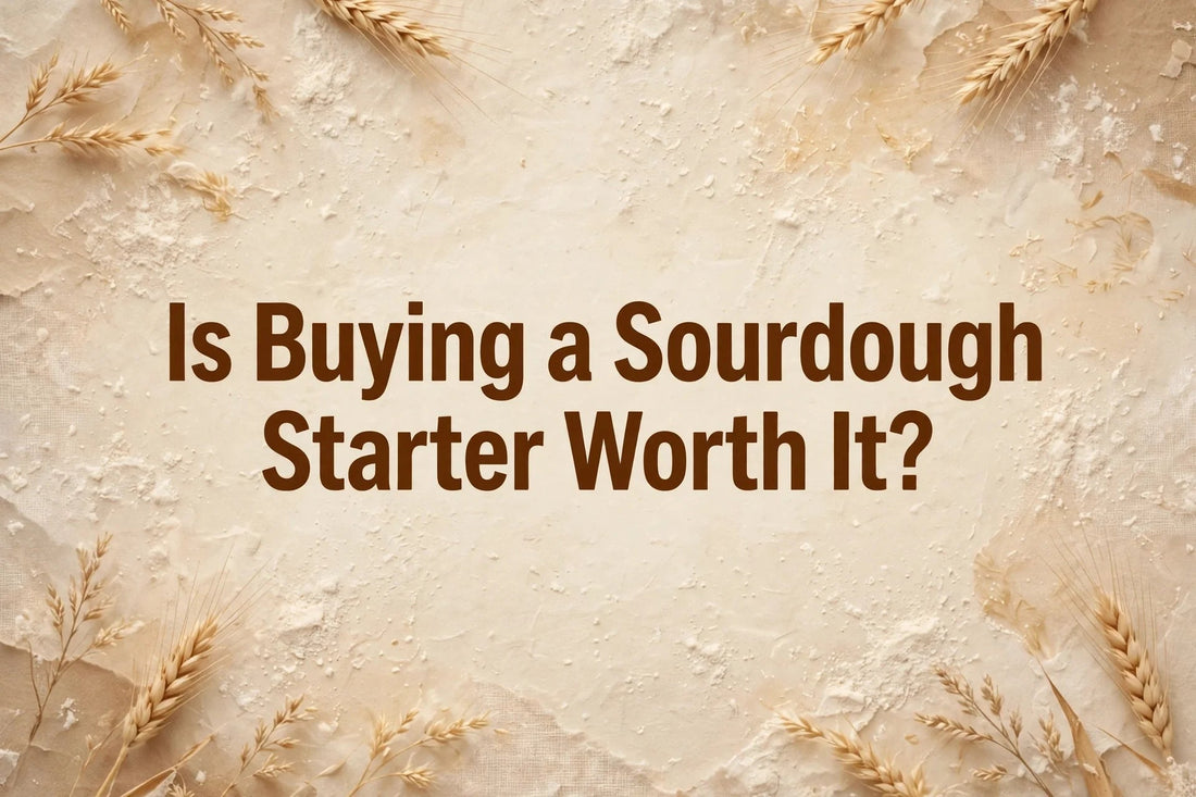 Is Buying a Sourdough Starter Worth It? The Honest Cost Breakdown - Squirrelly Girl Starter
