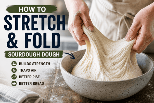 Learn the Stretch & Fold Technique (Watch This First) - Squirrelly Girl Starter