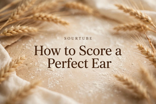 How to Score a Perfect Ear - SourTube