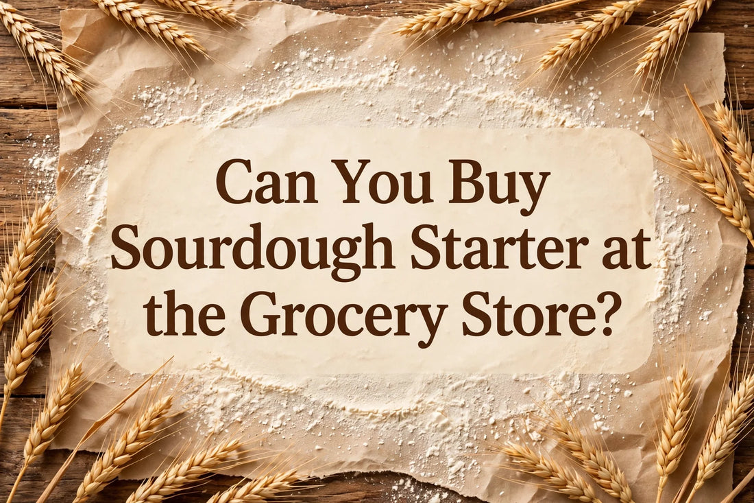 Can You Buy Sourdough Starter at the Grocery Store? - featured image