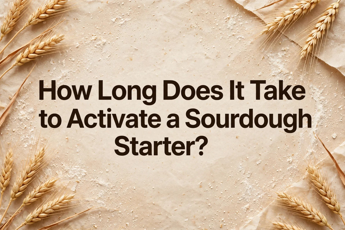 How Long Does It Take to Activate a Sourdough Starter? featured image