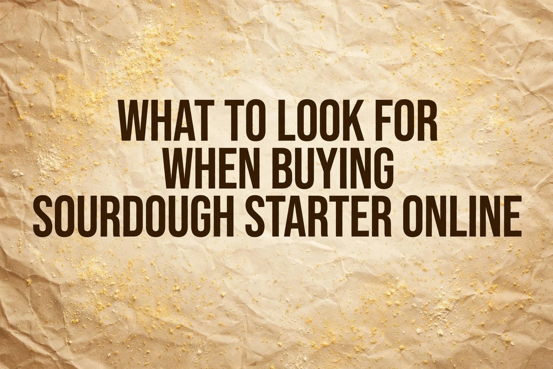 What to Look for When Buying Sourdough Starter Online — buyer's checklist guide