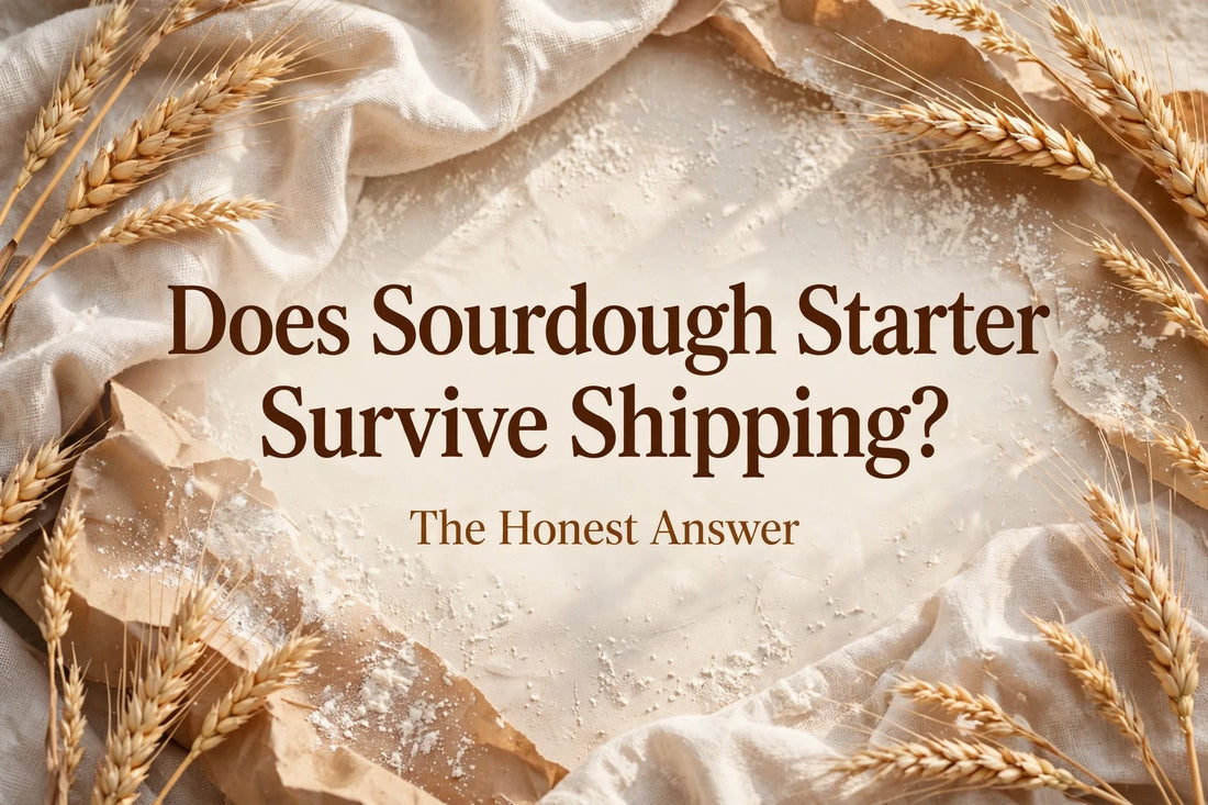 Does Sourdough Starter Survive Shipping? The Honest Answer