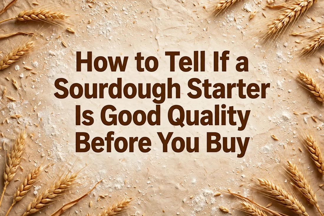 How to Tell If a Sourdough Starter Is Good Quality Before You Buy