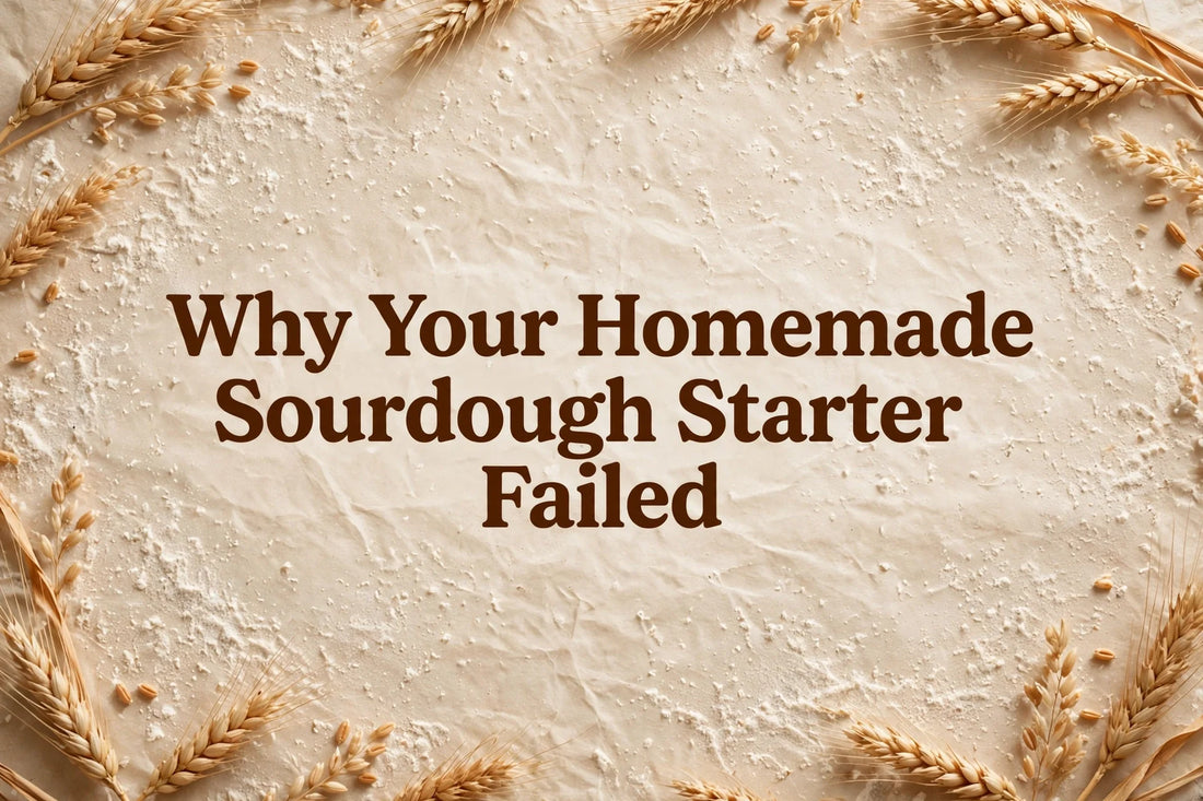 Why Your Homemade Sourdough Starter Failed — title on warm flour-dust bakery background