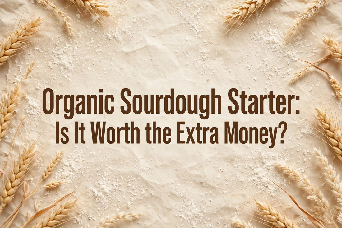 Organic Sourdough Starter: Is It Worth the Extra Money? — title on a warm flour-dust and wheat background