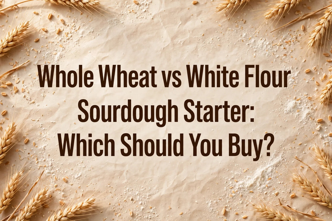 Whole Wheat vs White Flour Sourdough Starter: Which Should You Buy? — featured image