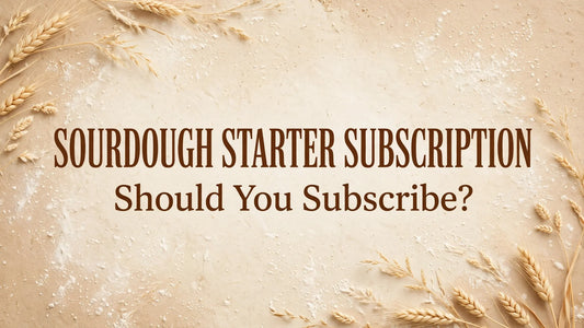 Sourdough Starter Subscription: Should You Subscribe?