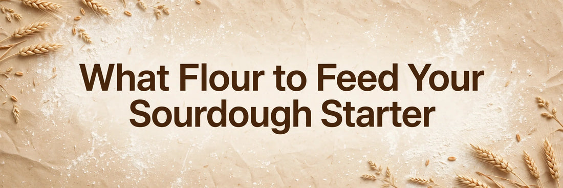 What Flour to Feed Your Sourdough Starter — featured image