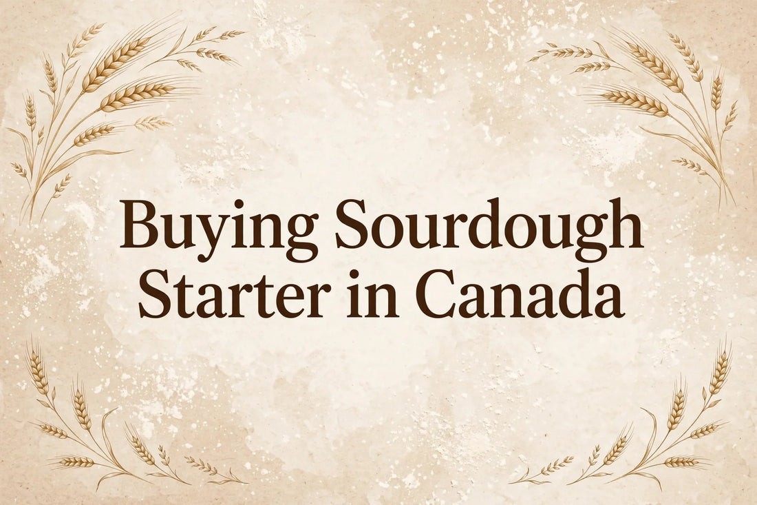 Buying Sourdough Starter in Canada title card
