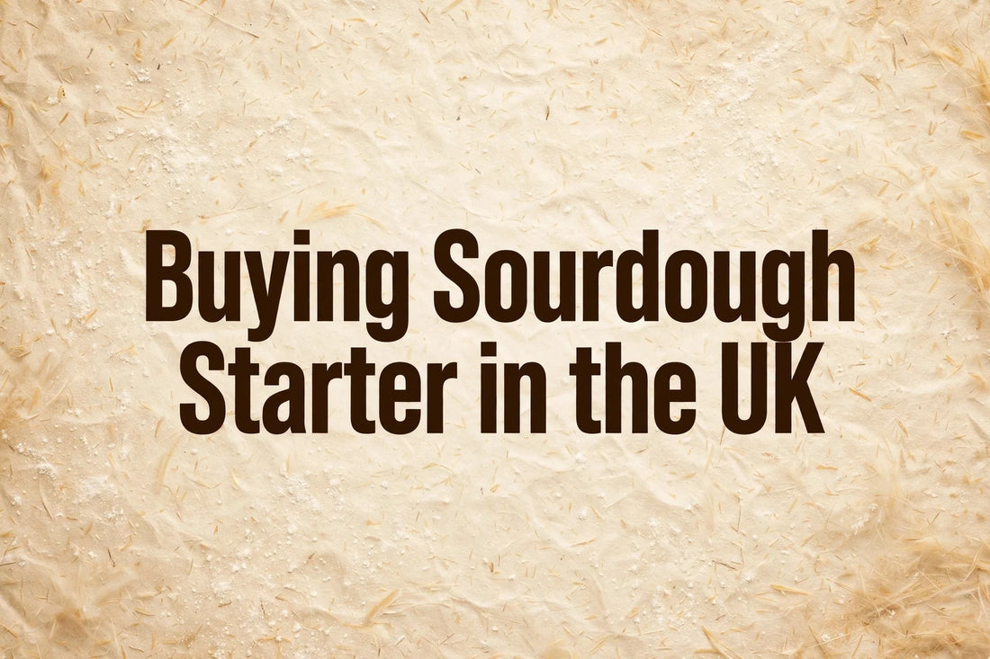 Buying Sourdough Starter in the UK — featured image