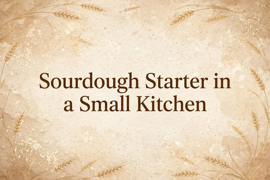 Sourdough Starter in a Small Kitchen — apartment setup guide title card