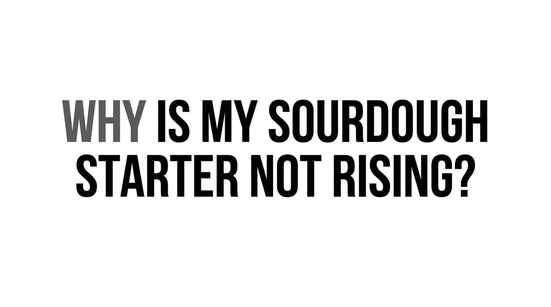 Sourdough Starter Troubleshooting: Why Is It Not Rising? - Squirrelly Girl Starter