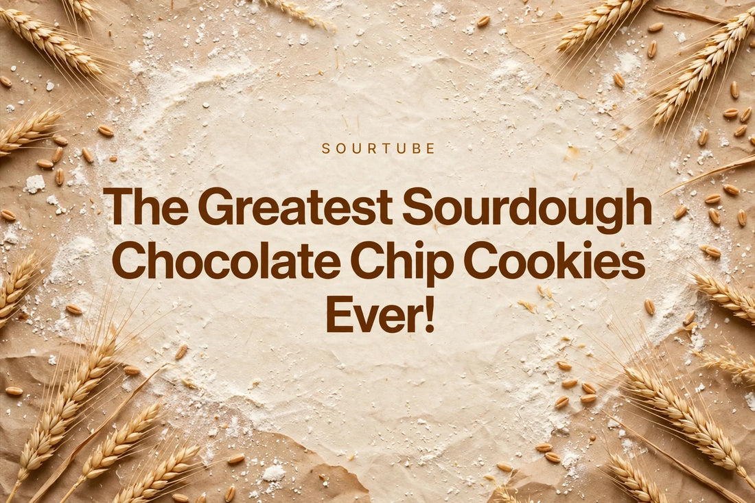 The Greatest Sourdough Chocolate Chip Cookies Ever! — SourTube featured title card