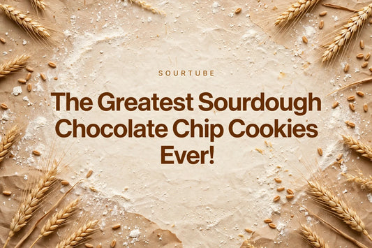 The Greatest Sourdough Chocolate Chip Cookies Ever! — SourTube featured title card