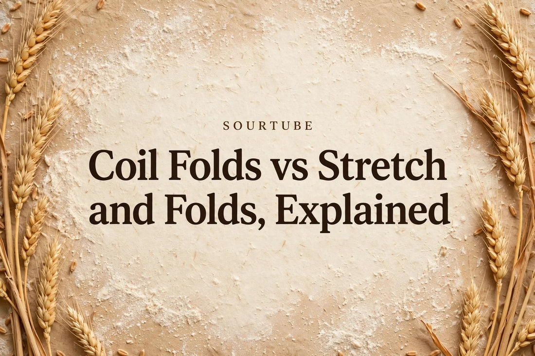 SourTube: Coil Folds vs Stretch and Folds, Explained