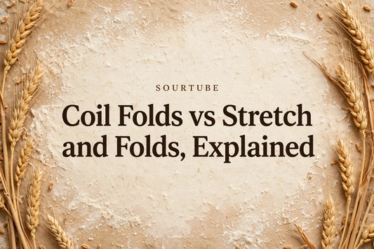 SourTube: Coil Folds vs Stretch and Folds, Explained