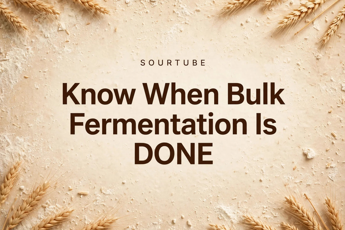 SourTube: Know When Bulk Fermentation Is Done — featured image with warm bakery background, wheat and flour dust
