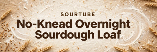 SourTube featured image: No-Knead Overnight Sourdough Loaf