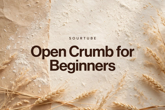 Open Crumb for Beginners — SourTube featured image with wheat and flour-dusted bakery background