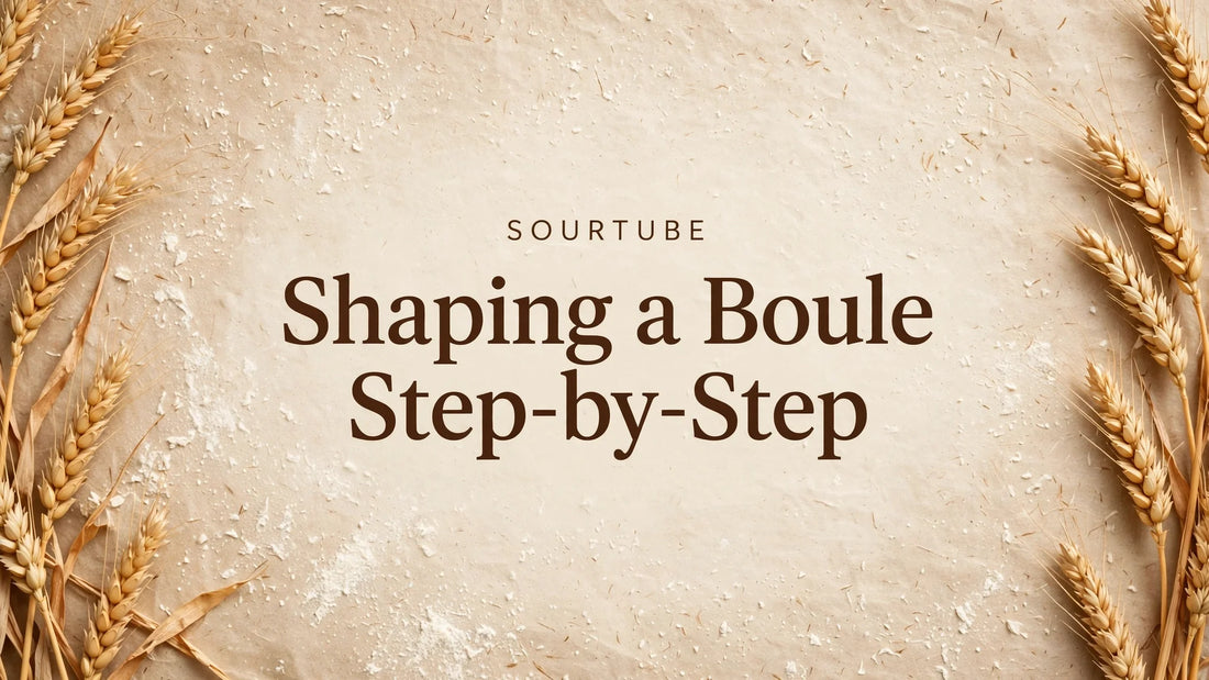 SourTube: Shaping a Boule Step-by-Step — warm bakery background with post title