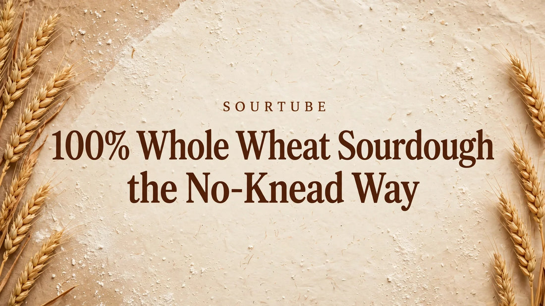 SourTube featured image: 100% Whole Wheat Sourdough, the No-Knead Way