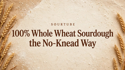 SourTube featured image: 100% Whole Wheat Sourdough, the No-Knead Way
