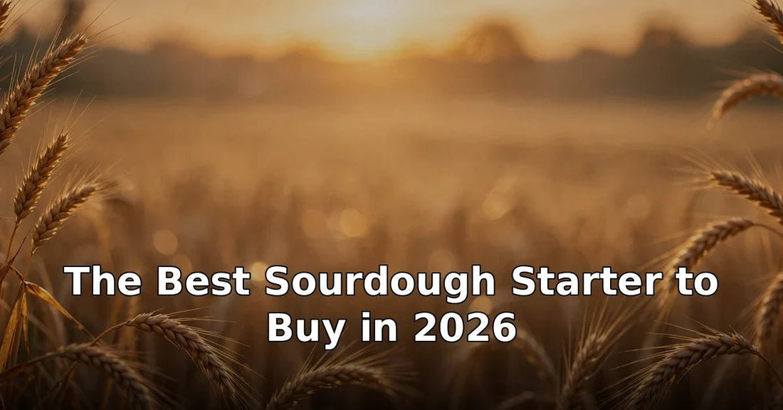 The Best Sourdough Starter to Buy in 2026 (Buyer’s Guide) - Squirrelly Girl Starter