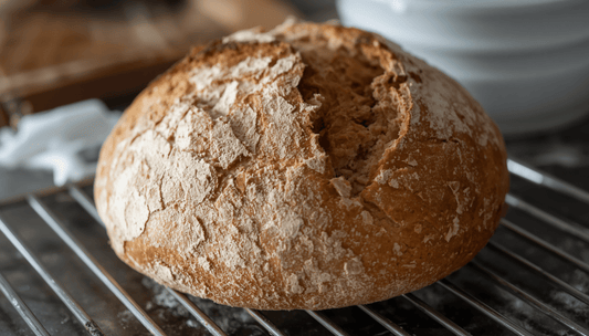 The Science of Sourdough: Why Your Gut Loves This Ancient Baking Tradition - Squirrelly Girl Starter