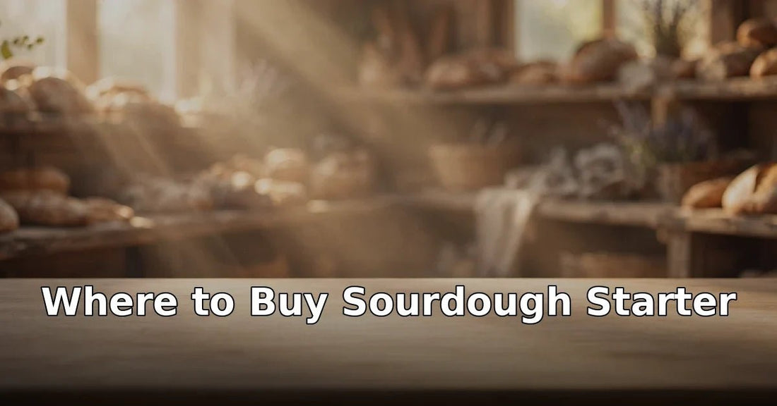 Where to Buy Sourdough Starter (And 5 Red Flags to Avoid) - Squirrelly Girl Starter