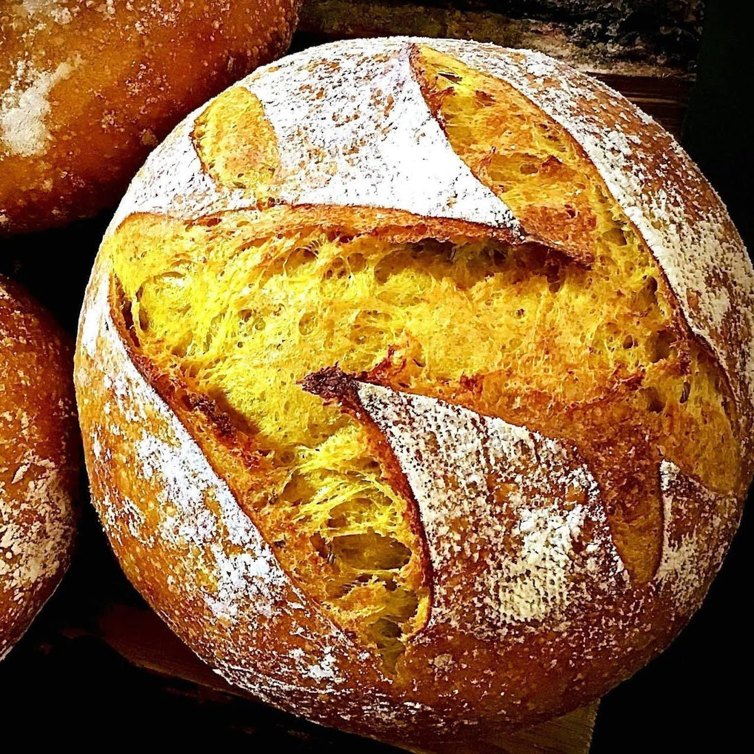 Why does sourdough scoring vanish in the oven?" (The secret to deep, ear-popping cuts) 🌾✂️ - Squirrelly Girl Starter