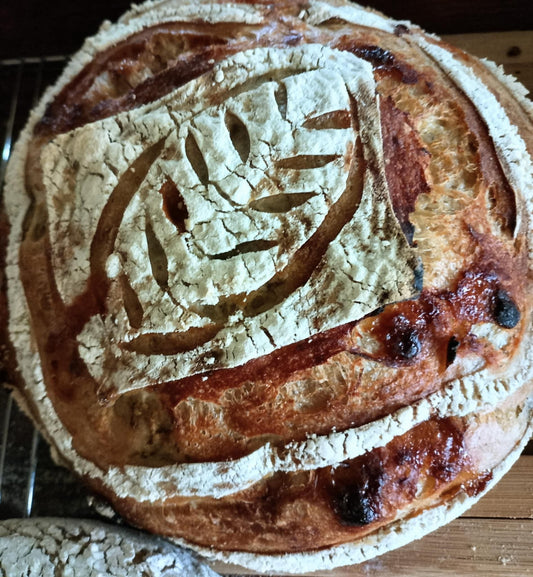 Squirrelly Girl Sourdough Starter - Squirrelly Girl Starter